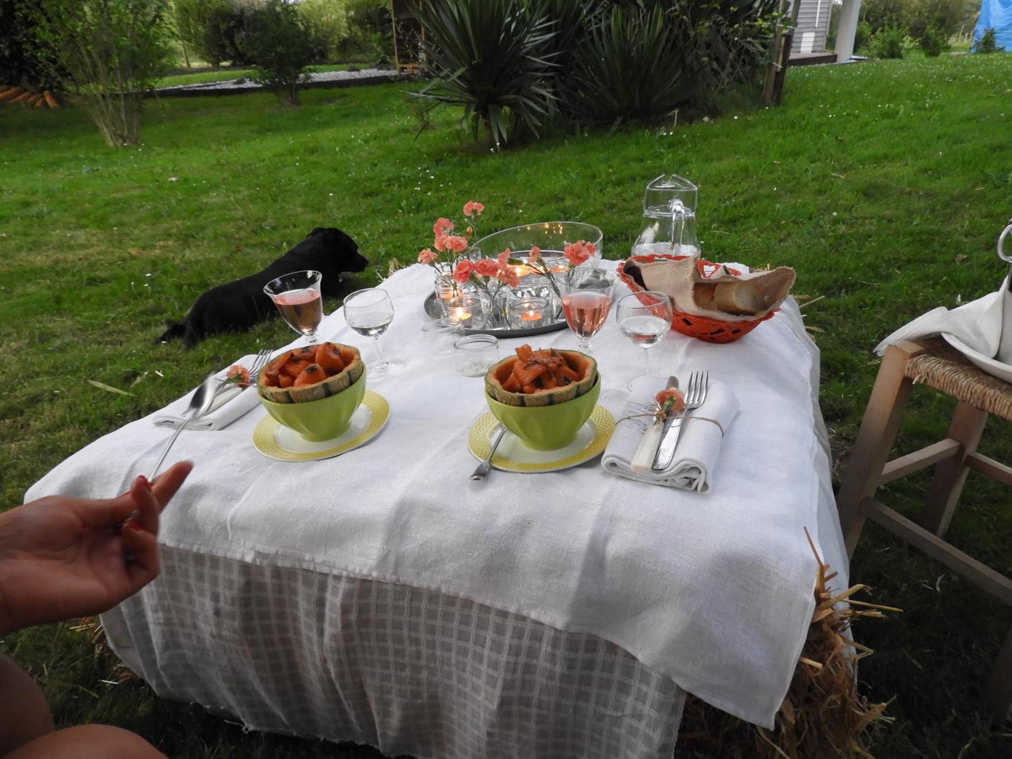 Tente Safari Lodge Dans Foret Luxuriante Vielle-Tursan Exterior foto